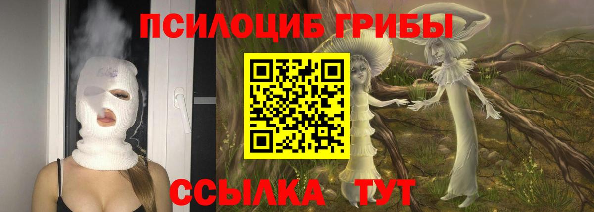 где купить наркоту  Вход с VPN  Южно-Сахалинск  Галлюциногенные грибы мицелий 