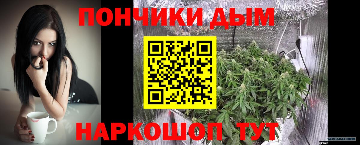 Бошки марихуана ГИДРОПОН Южно-Сахалинск